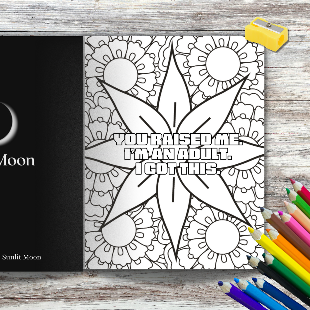 Empowered Era: A Colouring Quest for Establishing Boundaries - Adult Colouring Book