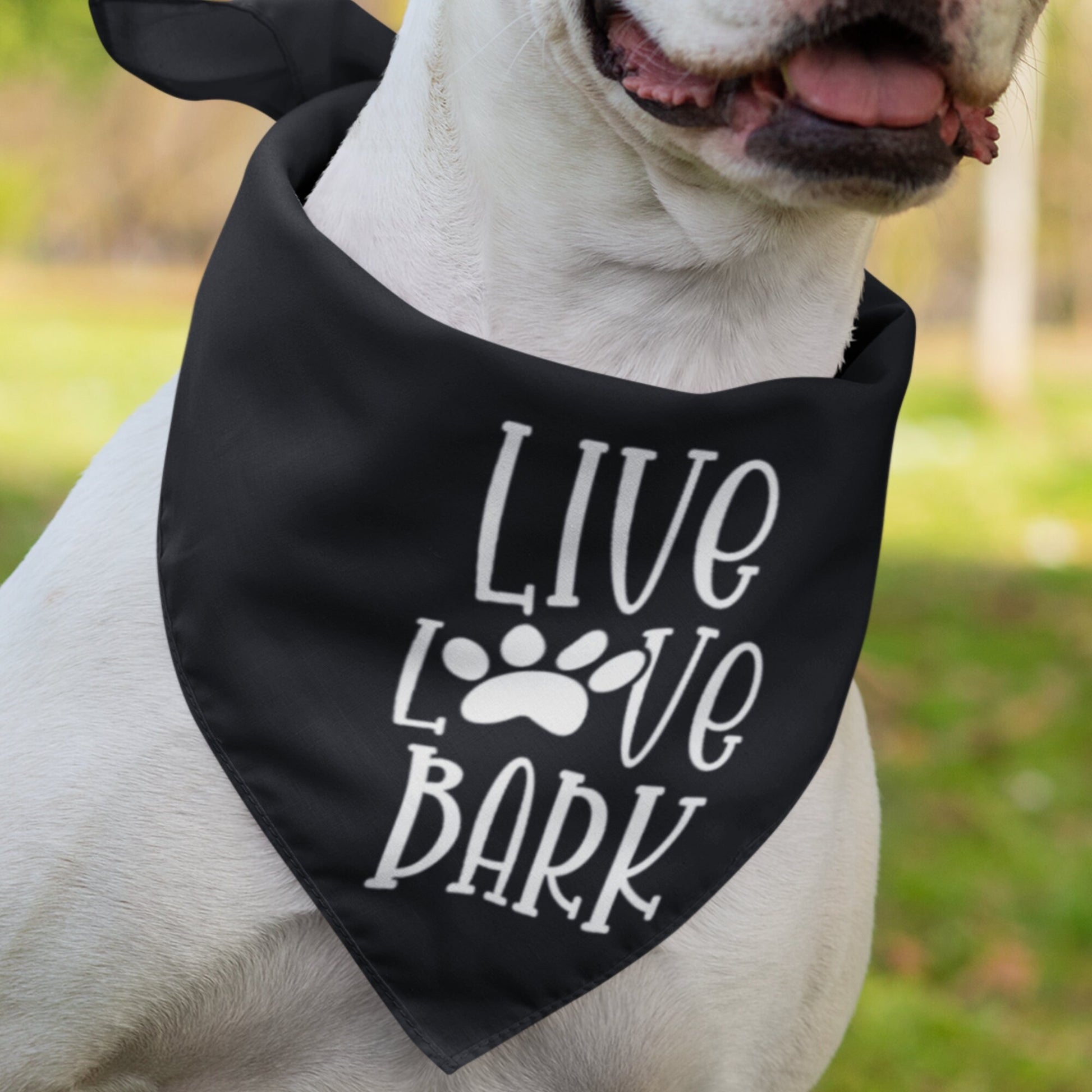 Live Love Bark