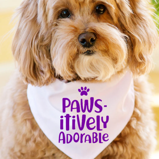 Paws-itively Adorable