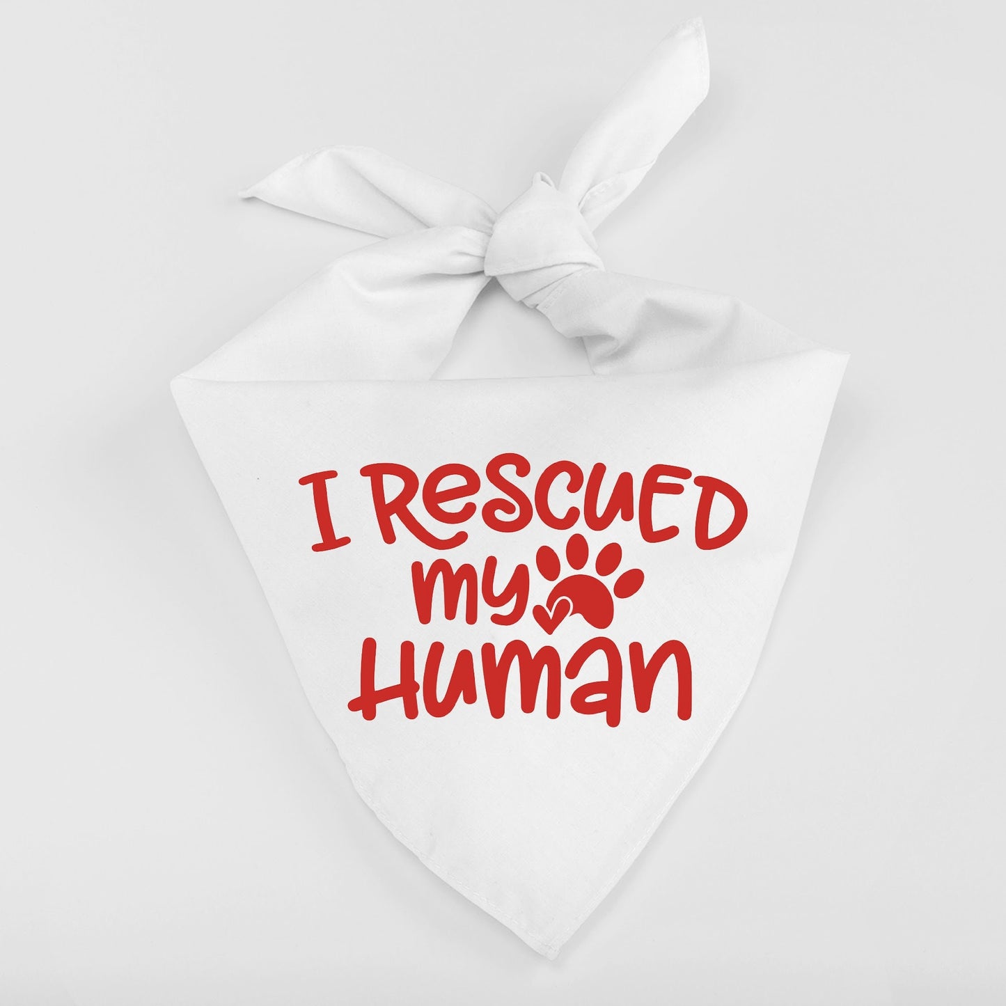 I Rescued My Human