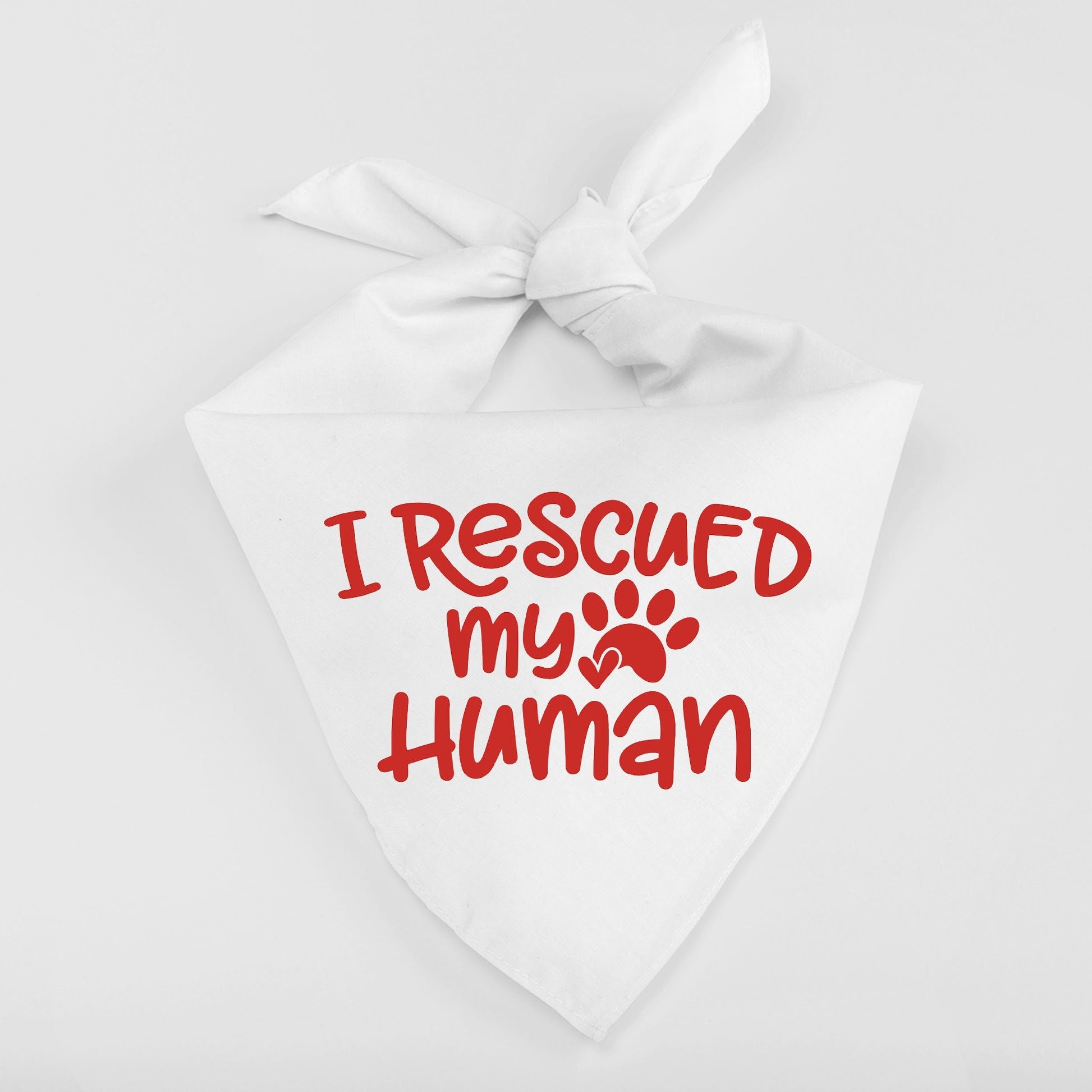I Rescued My Human