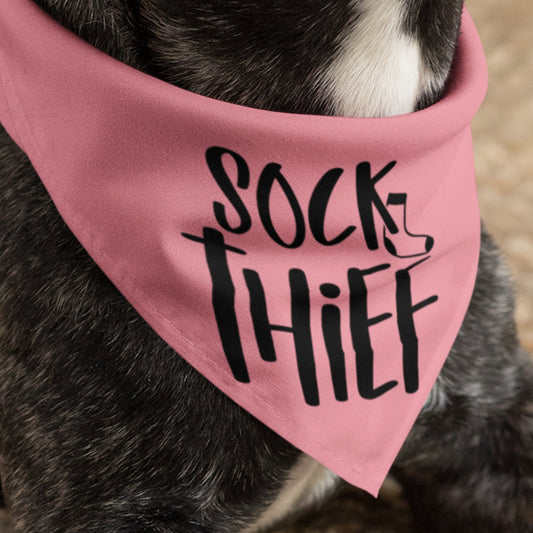 Sock Thief