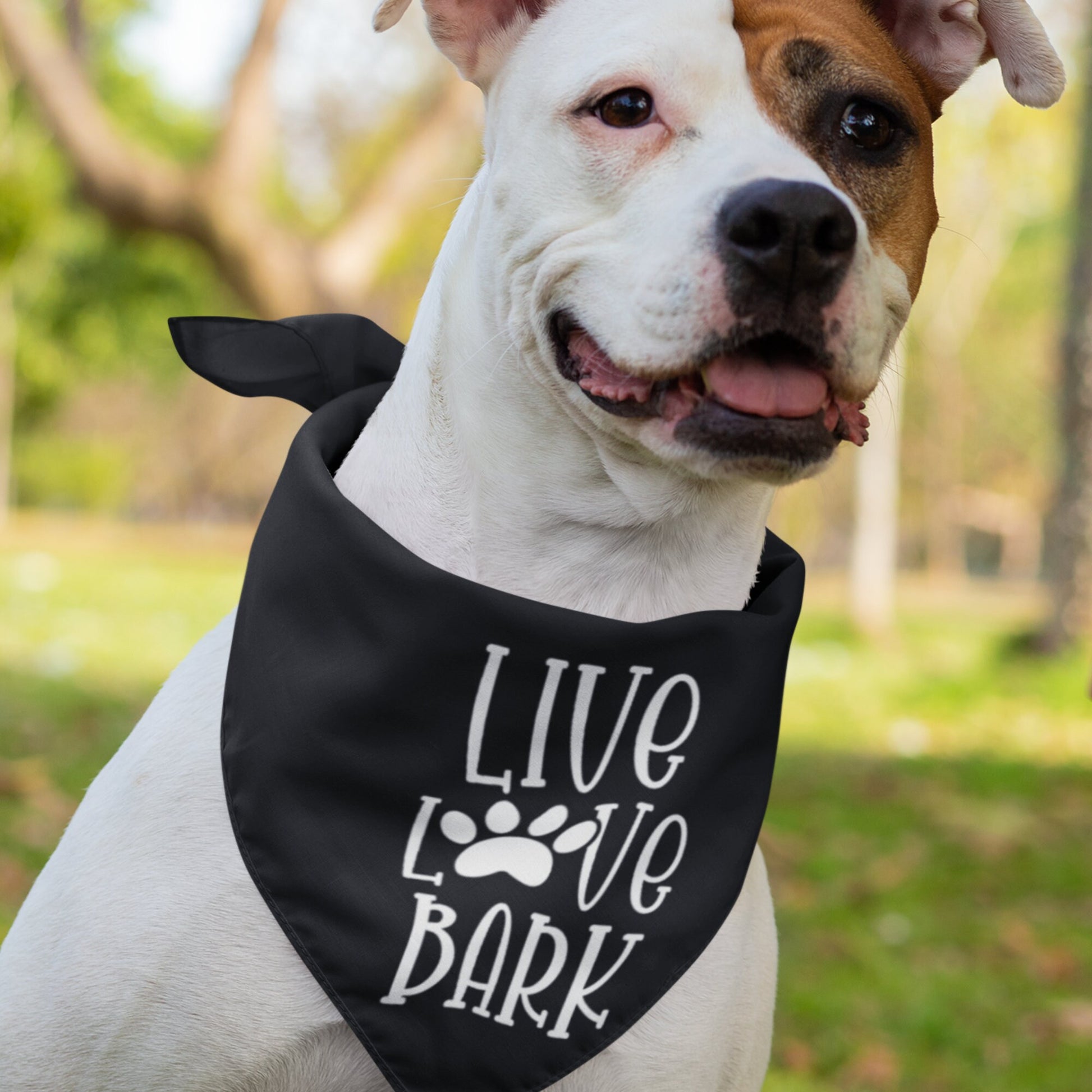 Live Love Bark