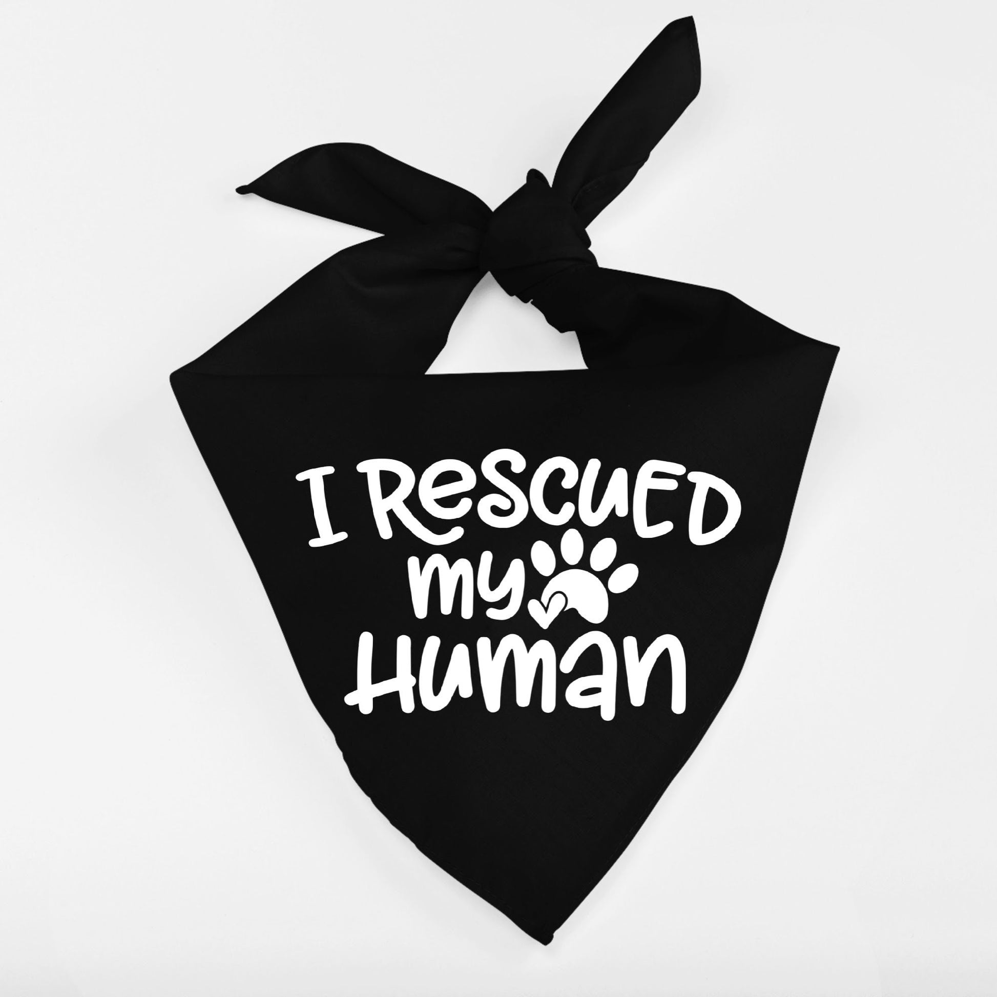 I Rescued My Human