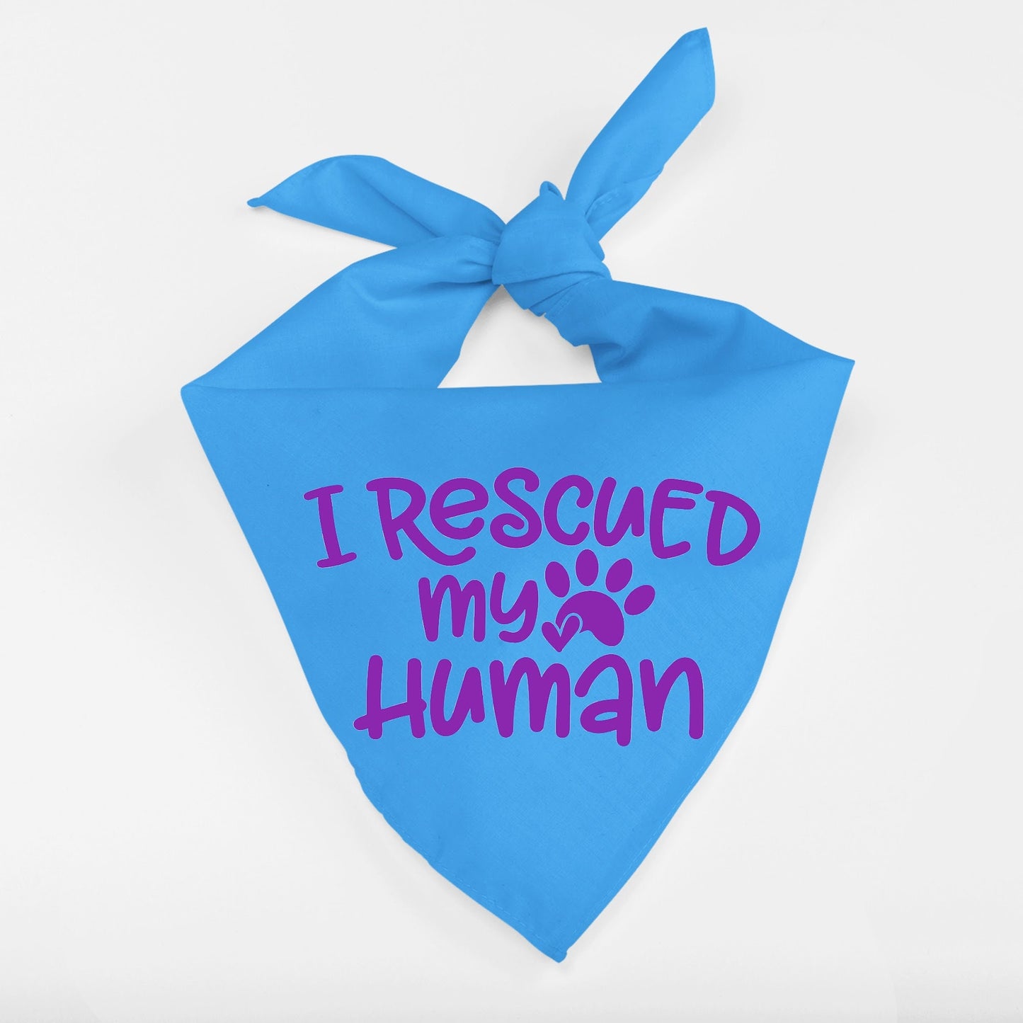 I Rescued My Human