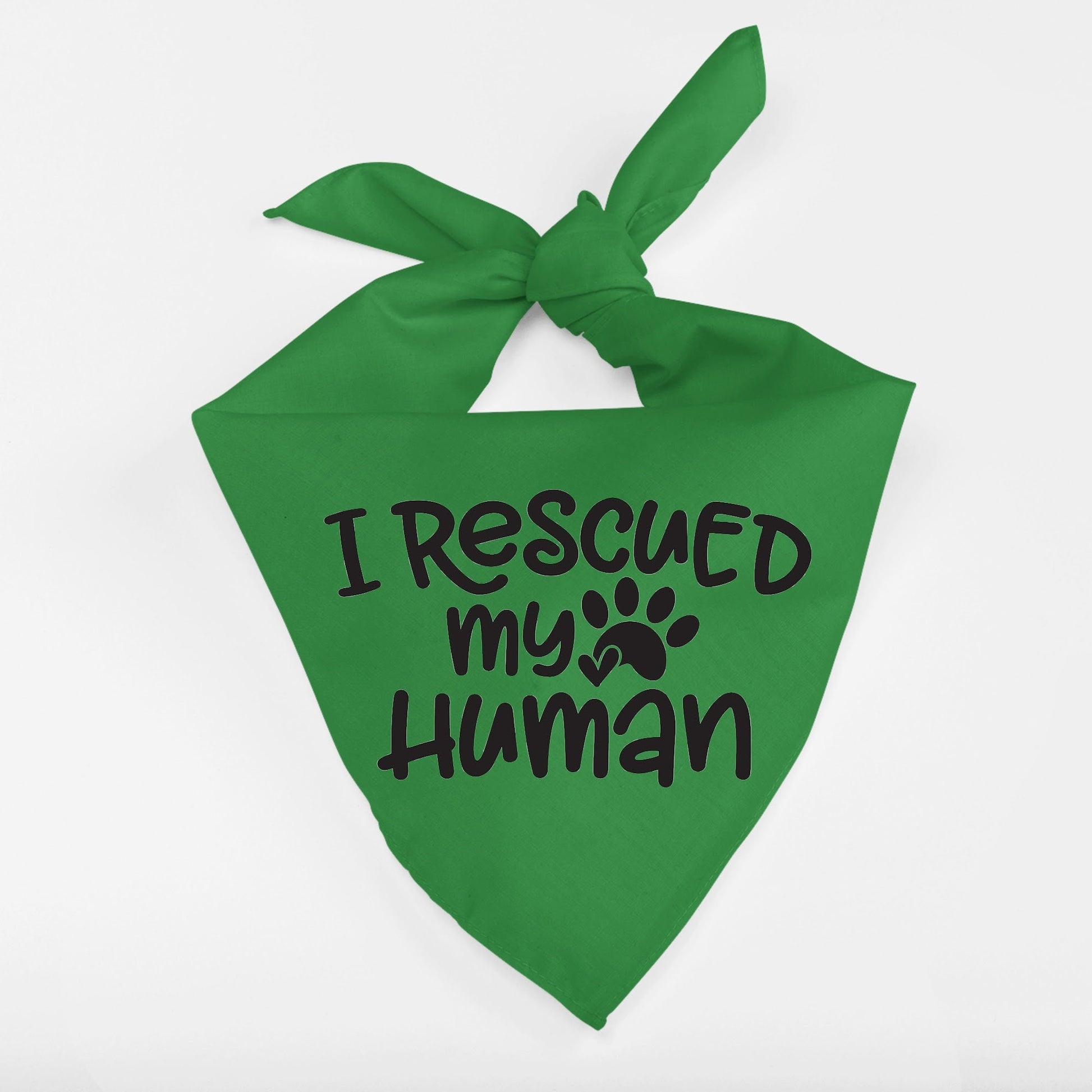 I Rescued My Human