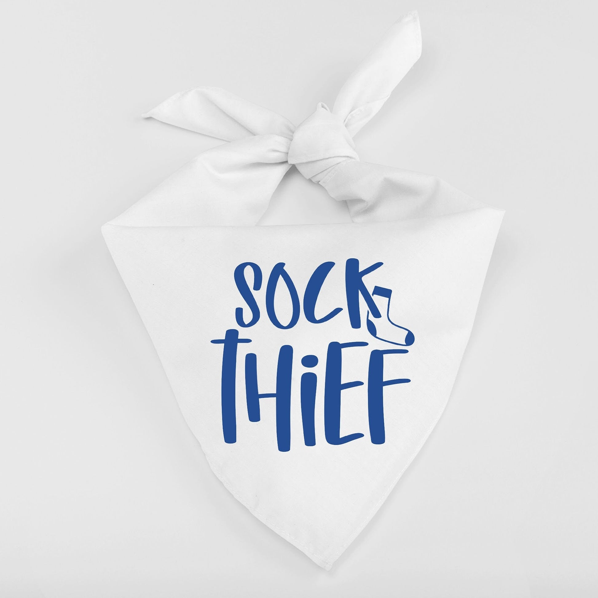 Sock Thief