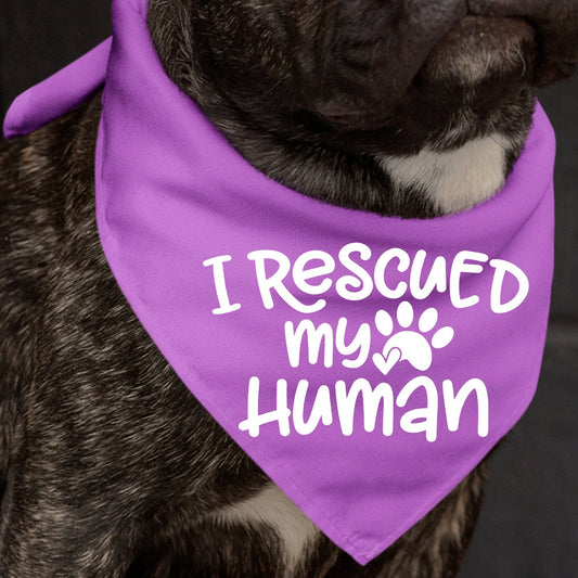 I Rescued My Human