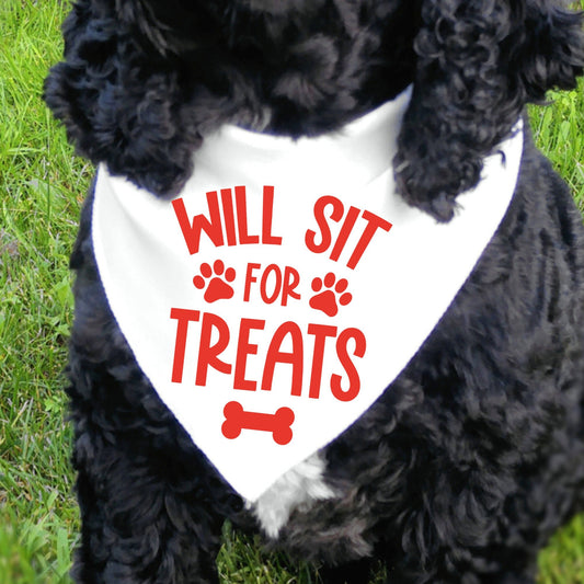 Will Sit For Treats